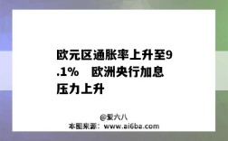 欧元区通胀率上升至9.1%　欧洲央行加息压力上升