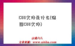 C88文件是什么(德国C88文件)