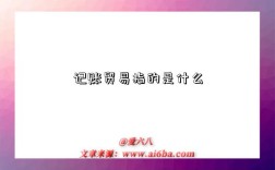 记账贸易指的是什么