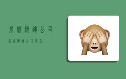 鼎盛海运公司,鼎盛海运公司简介