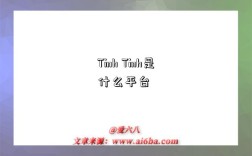 Tinh Tinh是什么平台