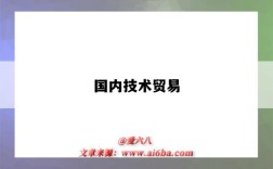 国内技术贸易