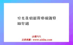 什么是偶然所得税超详细介绍