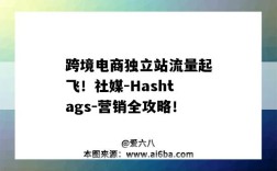 跨境电商独立站流量起飞！社媒-Hashtags-营销全攻略！（跨境电商sns社交营销媒体）