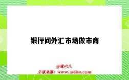 银行间外汇市场做市商