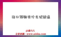 出口预验有什么优缺点