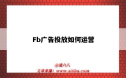 Fb广告投放如何运营（怎么在fb投放广告）