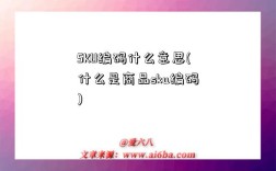 SKU编码什么意思(什么是商品sku编码)
