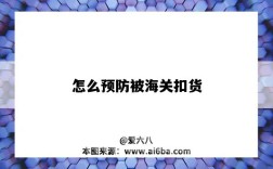 怎么预防被海关扣货