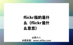 flickr指的是什么（flickr是什么意思）