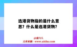 选港货物指的是什么意思？什么是选港货物？