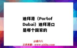 迪拜港（PortofDubai）迪拜港口是哪个国家的（迪拜是港口吗）