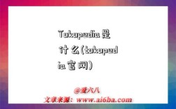Tokopedia是什么(tokopedia官网)