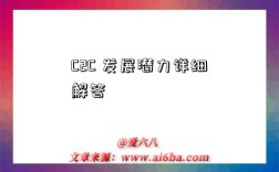 C2C 发展潜力详细解答