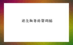 龙之向导外贸网站