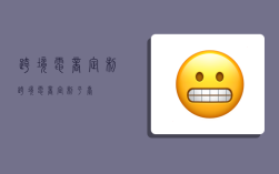 跨境电商定制,跨境电商定制平台