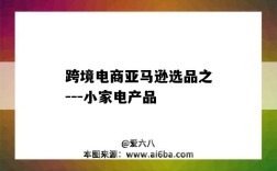 跨境电商亚马逊选品之---小家电产品（亚马逊跨境电商选择产品）