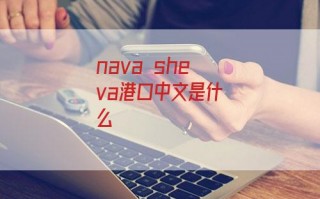 nava sheva港口中文是什么