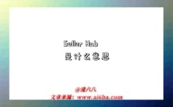 Seller Hub是什么意思