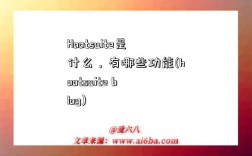 Hootsuite是什么，有哪些功能(hootsuite blog)