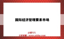 国际经济管理要素市场
