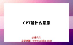 CPT是什么意思（医学上cpt是什么意思）