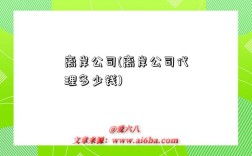 离岸公司(离岸公司代理多少钱)
