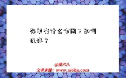 存单有什么作用？如何保存？