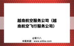 越南航空服务公司（越南航空飞行服务公司）