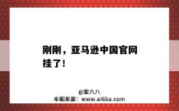 刚刚，亚马逊中国官网挂了！（亚马逊店铺挂了）