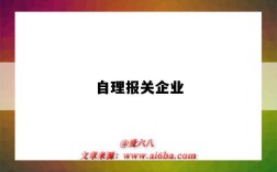 自理报关企业