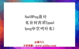 GoAllPay是什么支付方式(goallpay中文叫什么)