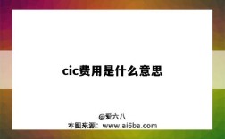 cic费用是什么意思（CIC费用是什么意思）