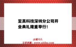 至真科技深圳分公司开业典礼隆重举行！（至真科技有限公司）