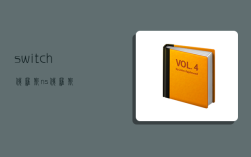 switch俄罗斯,ns 俄罗斯