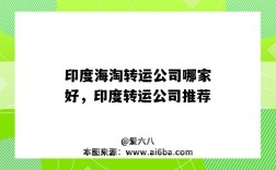 印度海淘转运公司哪家好，印度转运公司推荐（印度到中国转运公司）