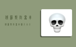 俄罗斯防雷车,俄罗斯防雷车图片大全