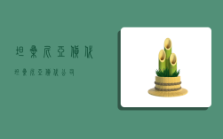 坦桑尼亚货代,坦桑尼亚货代公司