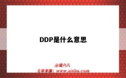 DDP是什么意思（ddp是什么意思啊）