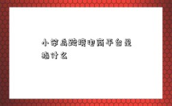 小笨鸟跨境电商平台是指什么