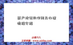 原产地证的作用及办理流程介绍