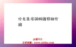 什么是毛利润超详细介绍