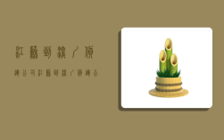 江苏到深圳货运公司,江苏到深圳货运公司有哪些