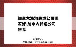 加拿大海淘转运公司哪家好,加拿大转运公司推荐（加拿大海淘转运公司哪个好）