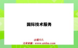 国际技术服务