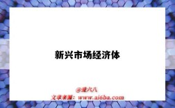 新兴市场经济体