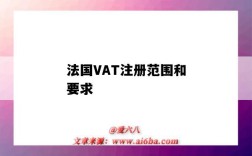 法国VAT注册范围和要求（法国vat注册要多久）