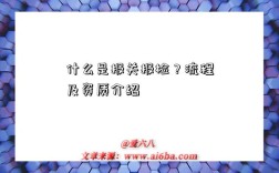 什么是报关报检？流程及资质介绍