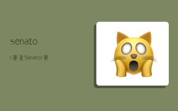 senator 货代,Senator货代主要业务