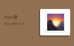 reach标准,reach标准是什么标准